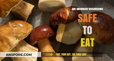 Are Brownish Mushrooms Safe? A Guide to Edible Varieties