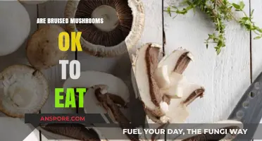 Are Bruised Mushrooms Safe to Eat? A Culinary Guide