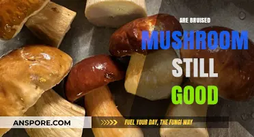 Can You Safely Eat Bruised Mushrooms? A Culinary Guide