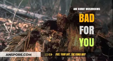 Are Burnt Mushrooms Harmful? Health Risks and Safe Cooking Tips