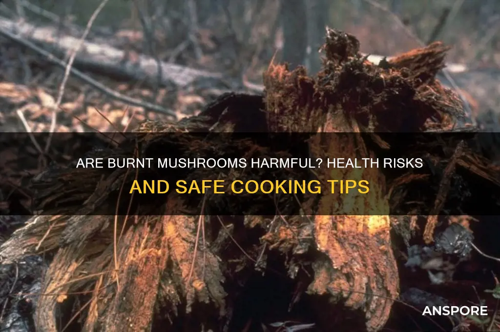 are burnt mushrooms bad for you