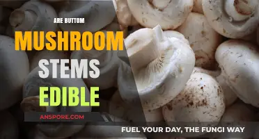 Can You Eat Button Mushroom Stems? A Complete Edibility Guide