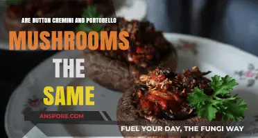 Button, Cremini, Portobello: Are These Mushrooms Really the Same?