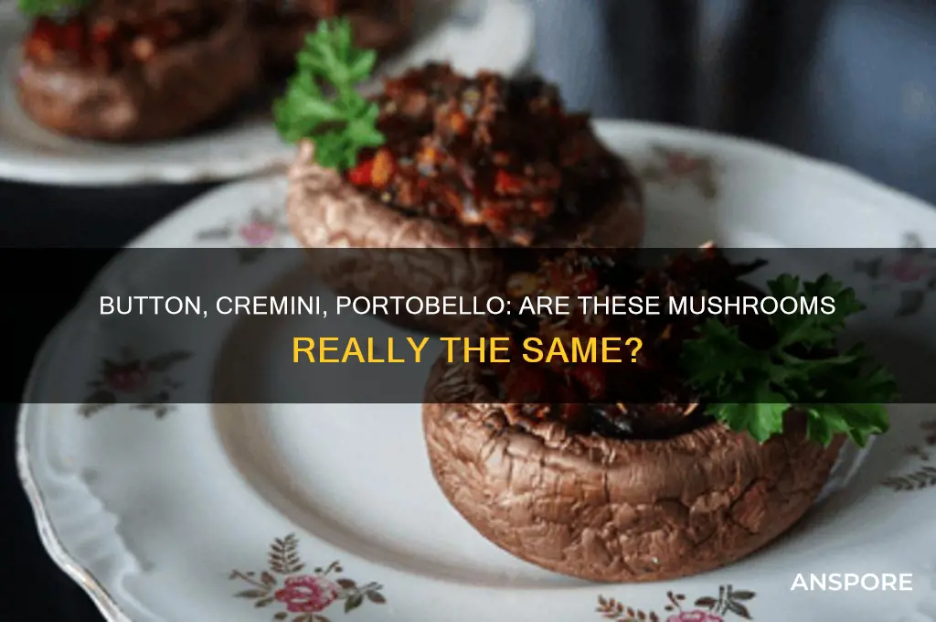 are button cremini and portobello mushrooms the same