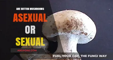 Button Mushrooms: Unveiling Their Asexual or Sexual Reproduction Mystery