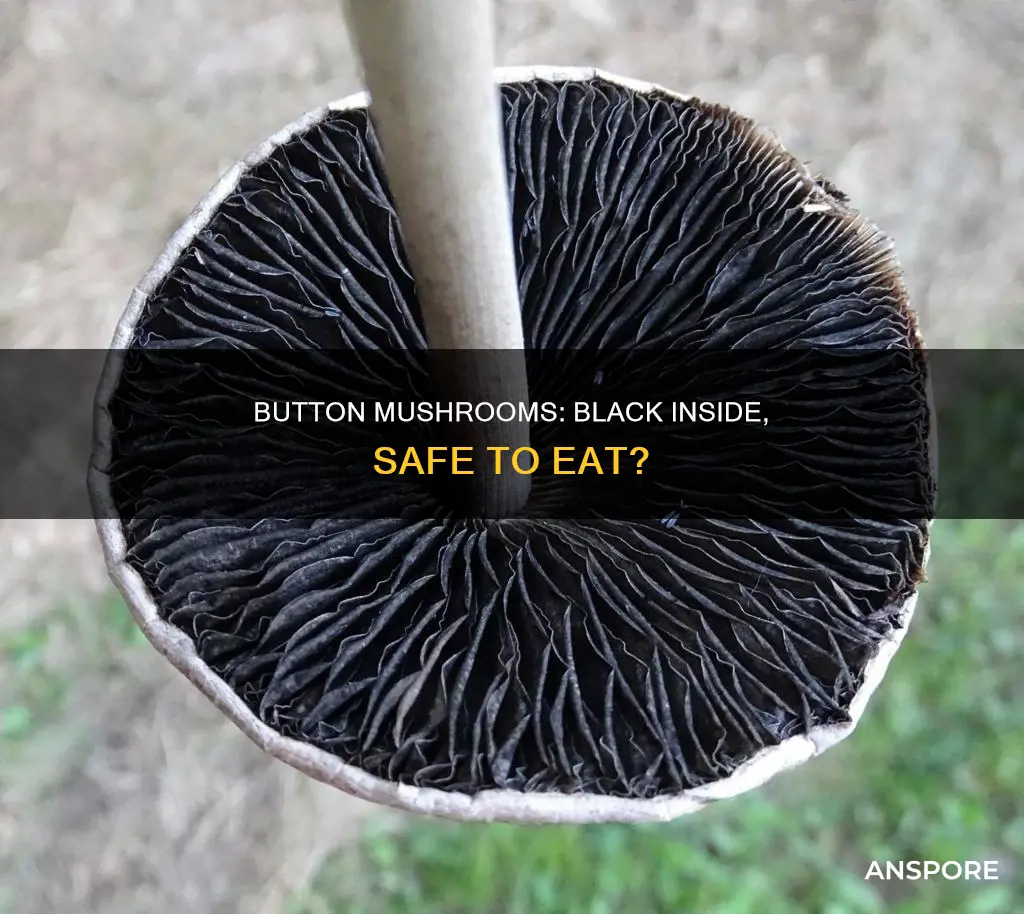 are button mushrooms black inside