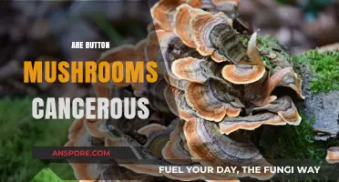 Button Mushrooms: Cancer-Causing or Cancer-Fighting?