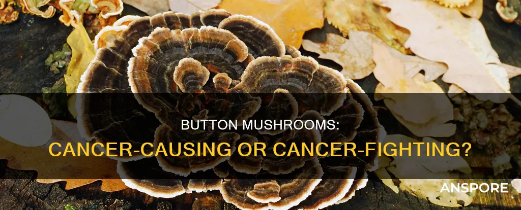 are button mushrooms cancerous