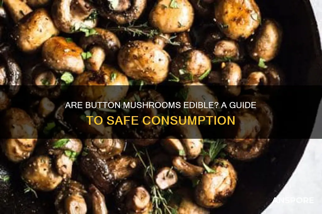 are button mushrooms edible