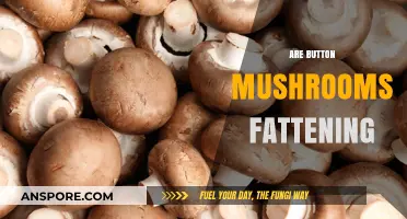 Button Mushrooms: Fattening or Healthy?