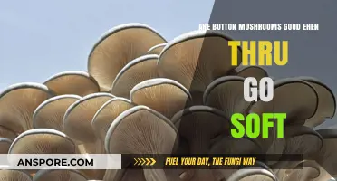 Soft Button Mushrooms: Are They Still Good to Eat?