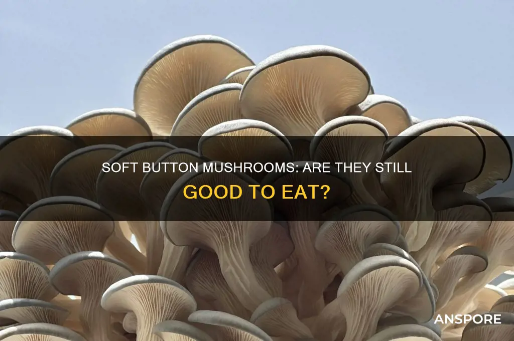 are button mushrooms good ehen thru go soft