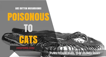 Are Button Mushrooms Safe for Cats? A Toxicity Guide