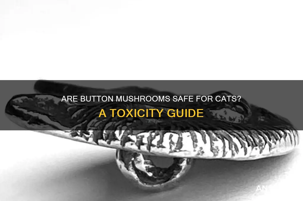 are button mushrooms poisonous to cats