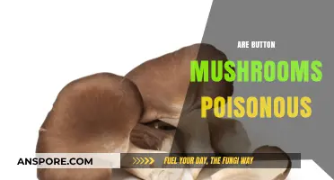 Are Button Mushrooms Poisonous? Unveiling the Truth About This Common Fungus