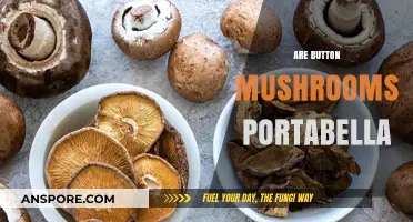 Button Mushrooms: Can They Become Portabellas?