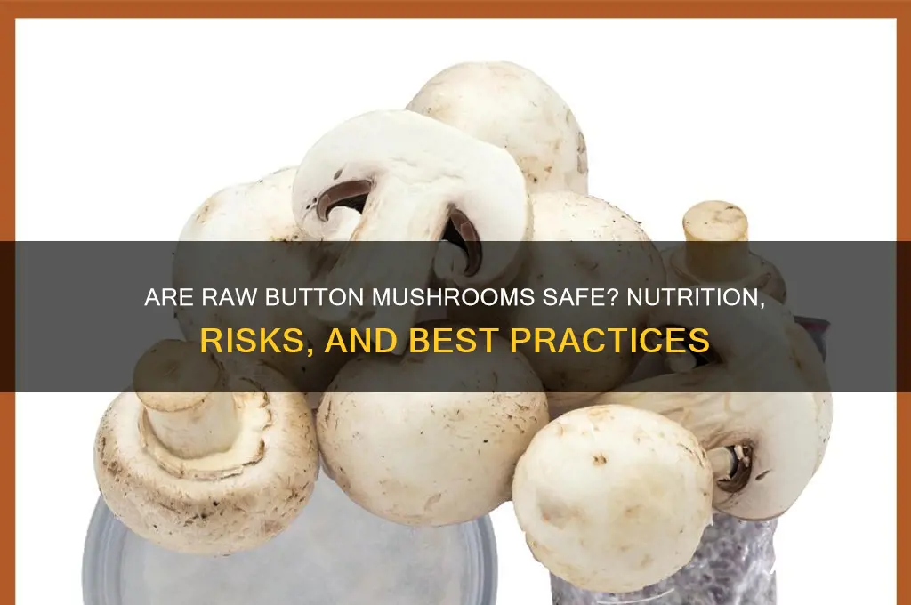 are button mushrooms safe to eat raw