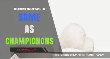 Button Mushrooms vs. Champignons: Unraveling the Culinary Confusion