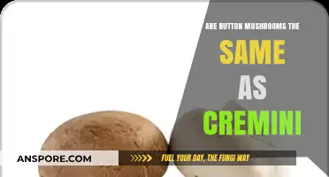 Button Mushrooms vs. Cremini: Unveiling the Surprising Culinary Connection