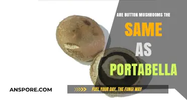 Button Mushrooms vs. Portabella: Unveiling the Differences and Similarities