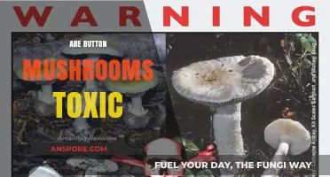 Button Mushrooms: Toxic or Not?