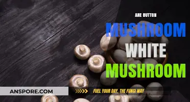 Button Mushrooms: Are They White Mushrooms?