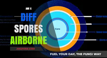Are C. Diff Spores Airborne? Unraveling the Transmission Mystery