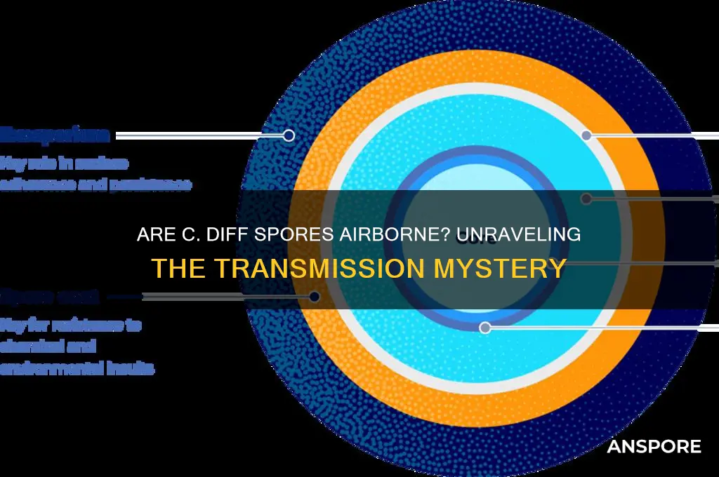 are c diff spores airborne