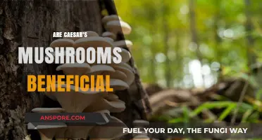 Caesar's Mushrooms: Healthy Superfood or Health Risk?