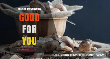 Mushrooms: Unlocking Health Benefits and Nutritional Power for Wellness