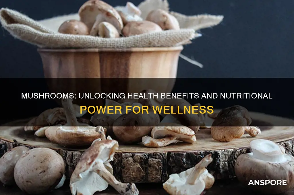 are can mushrooms good for you