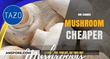 Are Canned Mushrooms Cheaper? Cost Comparison and Budget-Friendly Tips