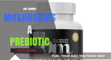 Canned Mushrooms and Gut Health: Are They a Prebiotic?