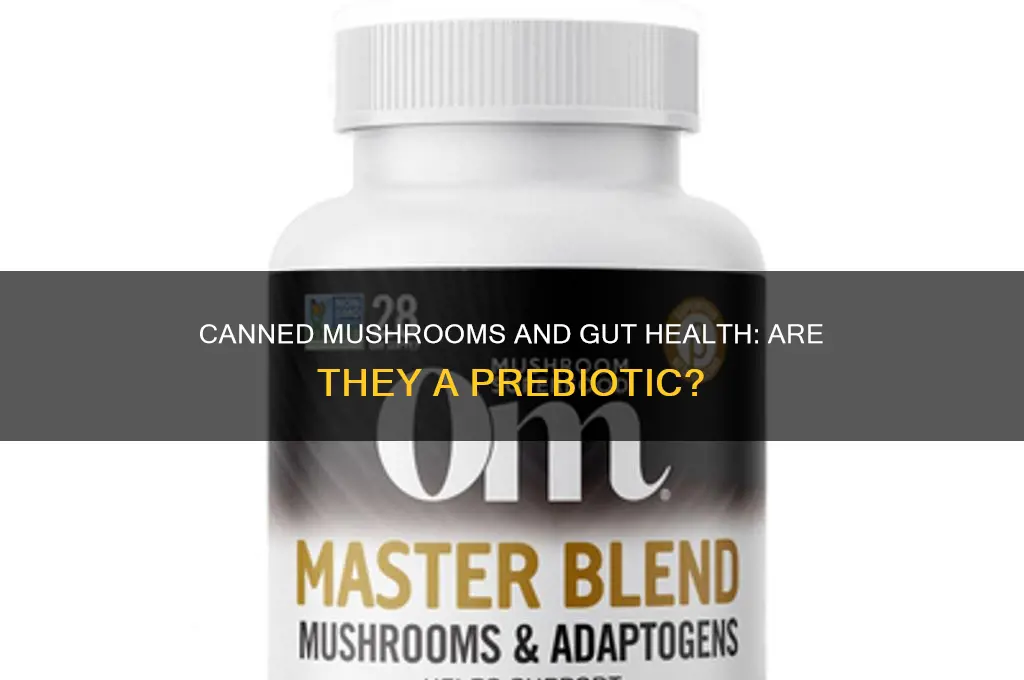 are canned mushrooms a prebiotic