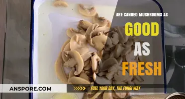 Canned vs. Fresh Mushrooms: Which One Wins in Nutrition and Taste?