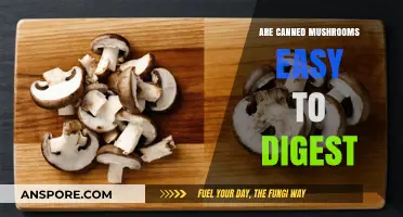 Canned Mushrooms Digestibility: Are They Easy on Your Stomach?