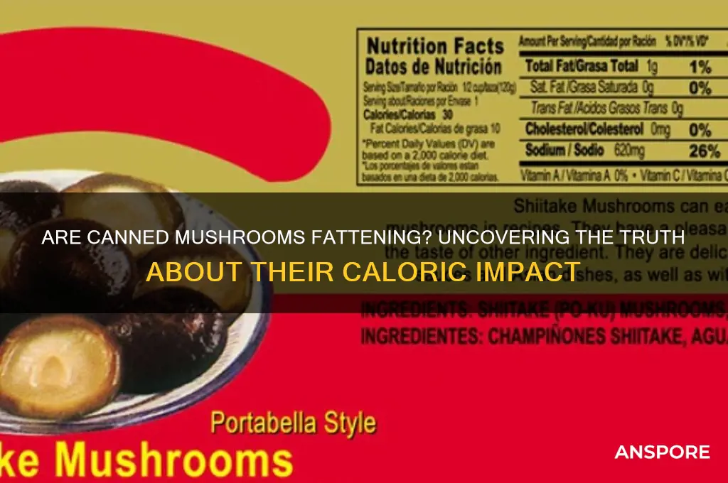 are canned mushrooms fattening