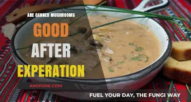 Are Expired Canned Mushrooms Safe to Eat? A Guide