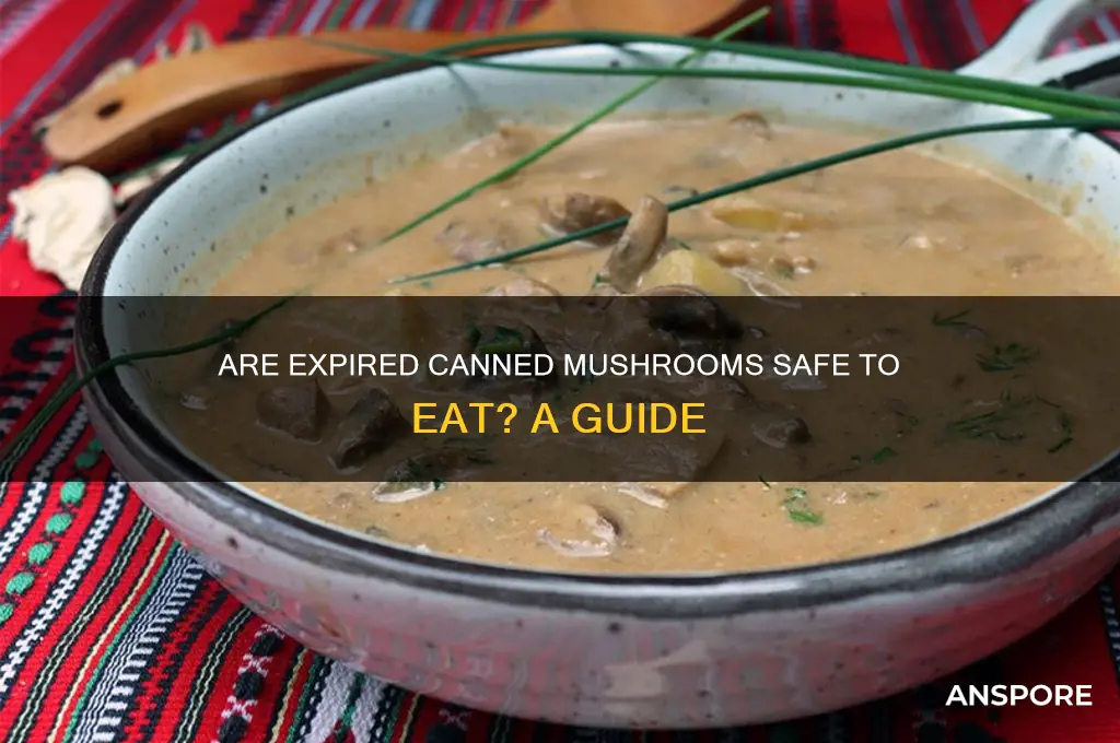 are canned mushrooms good after experation