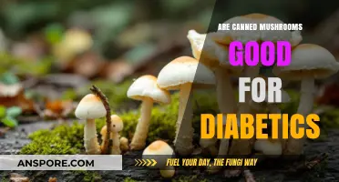 Canned Mushrooms and Diabetes: Health Benefits or Risky Choice?