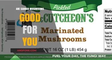 Are Canned Mushrooms Healthy? Nutrition Benefits and Potential Concerns