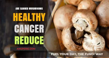 Canned Mushrooms: Unveiling Their Potential Cancer-Fighting Health Benefits