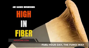 Canned Mushrooms and Fiber: Unveiling Their Nutritional Benefits