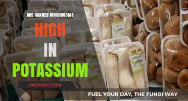 Canned Mushrooms and Potassium: Unveiling the Nutritional Truth