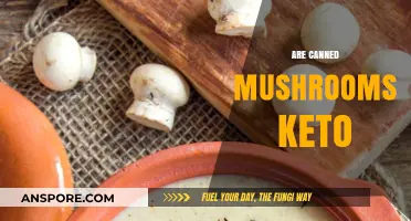 Are Canned Mushrooms Keto-Friendly? A Low-Carb Diet Guide