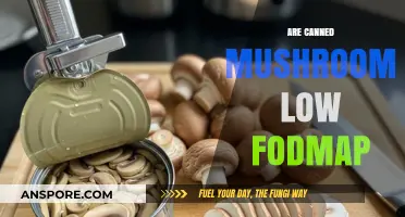Are Canned Mushrooms Low FODMAP? A Diet-Friendly Guide