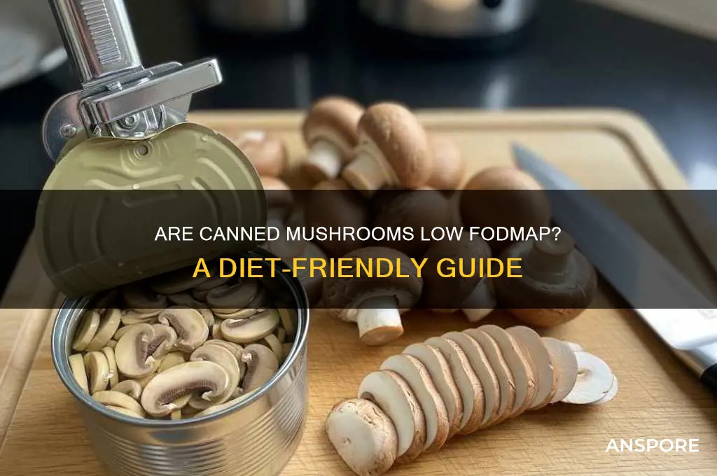 are canned mushrooms low fodmap