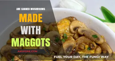 Are Canned Mushrooms Made with Maggots? Uncovering the Truth