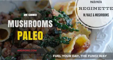 Are Canned Mushrooms Paleo? A Comprehensive Guide to Paleo-Friendly Foods
