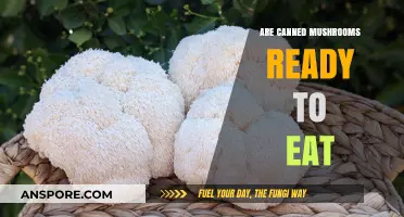 Are Canned Mushrooms Ready to Eat? A Quick Guide